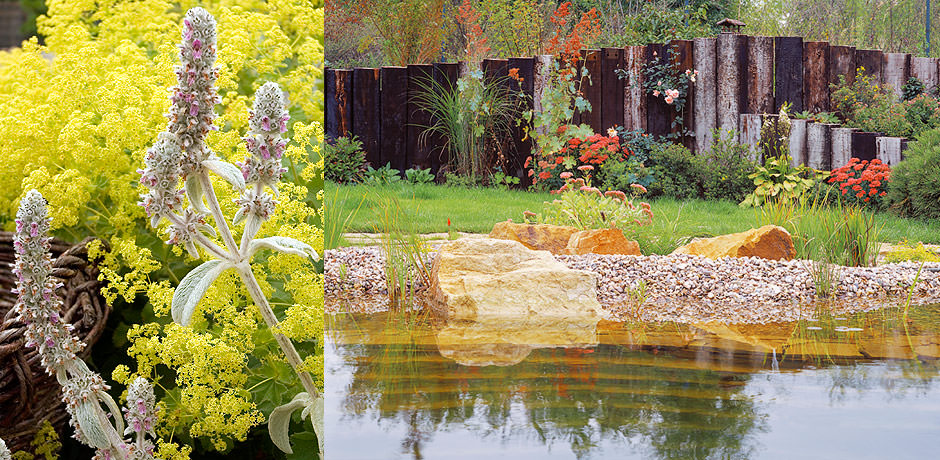 Velký detail oblázkového břehu zahradního jezírka s podvodními kamennými stupni. Vlevo malý detail květiny.